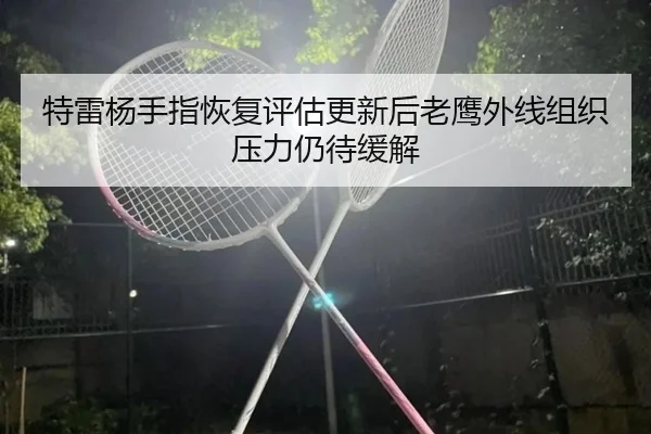 te-lei-yang-shou-zhi-hui-fu-ping-gu-geng-xin-hou-lao-ying-wai-xian-zu-zhi-ya-li-reng-dai-huan-jie-2-152.jpg
